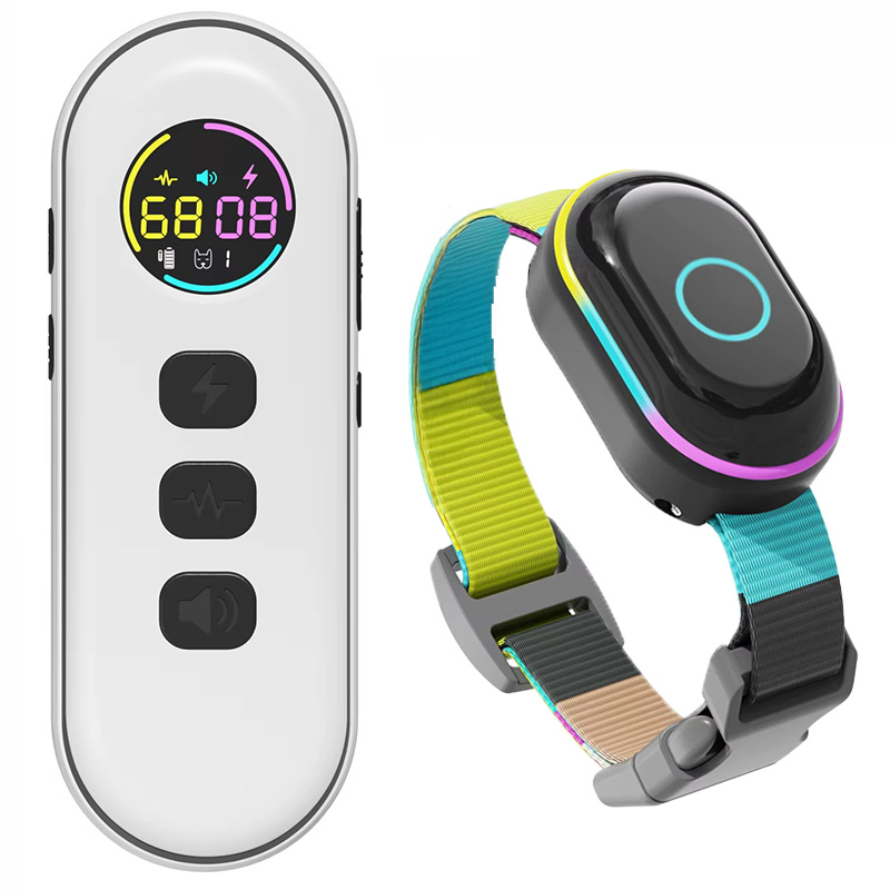 1 x duża kolorowa obroża