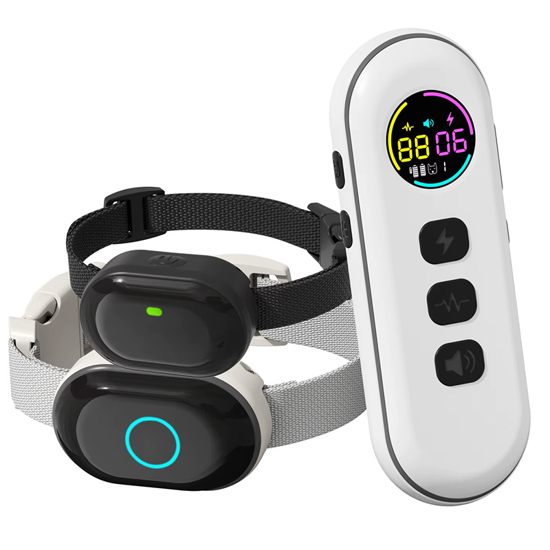 1 x duża + 1 x mała obroża