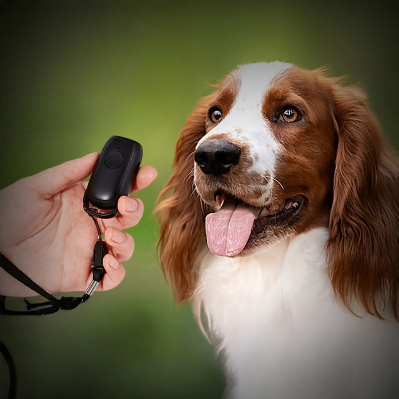 odstraszacz na psy mini_grafika glowna10